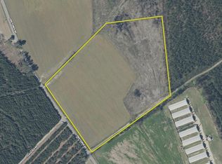 Fire Tower Rd LOT WP001, Blenheim, SC 29516