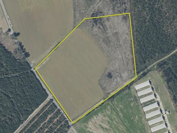 Fire Tower Rd Lot Wp001, Blenheim, SC 29516