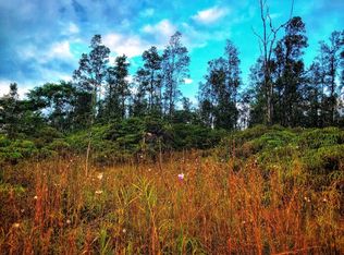 2 Road Ao, Mountain View, HI 96771