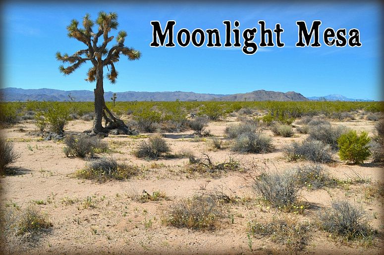 1st image of Moonlight Mesa St