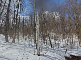 479 Wright Orchard Rd #4, Grafton, VT 05146