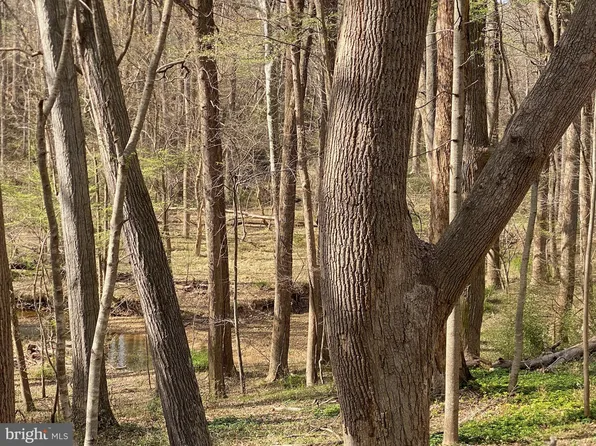 11800 Glen Mill Rd, Potomac, MD 20854