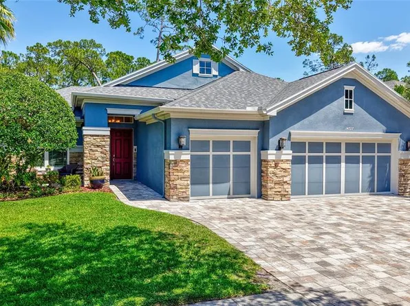 14727 Tudor Chase Dr, Tampa, FL 33626
