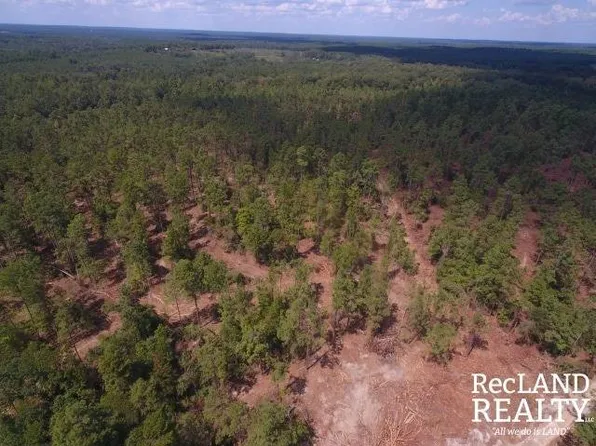 0 Highway 556, Choudrant, LA 71227