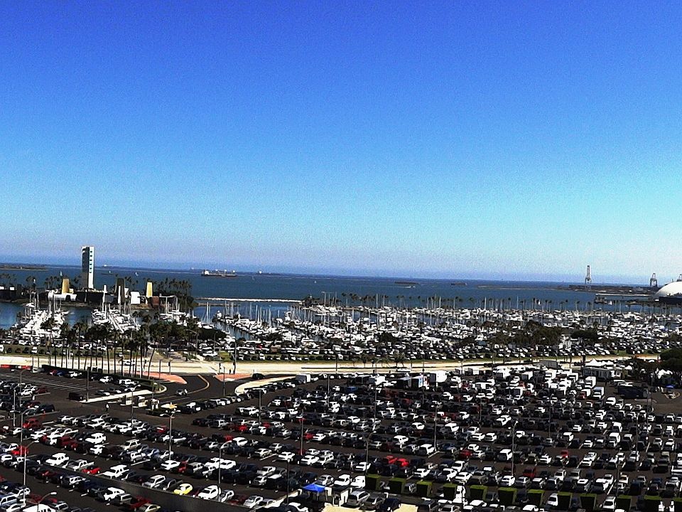 1st image of 488 E Ocean Blvd Unit 1017