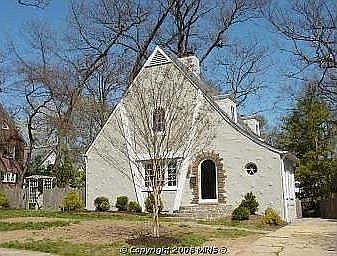 Waiting for spring flowers