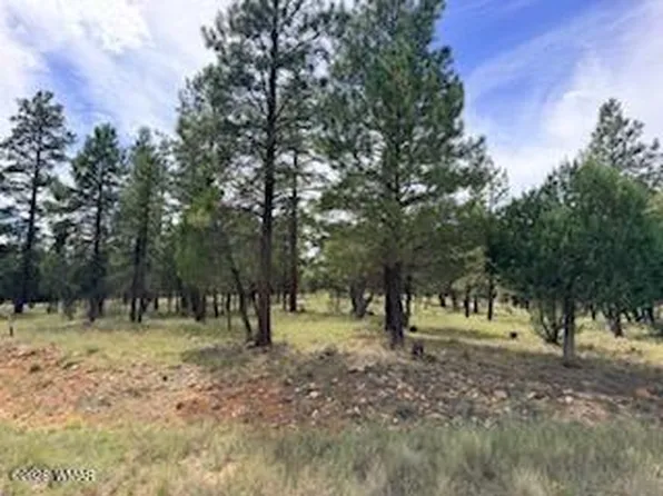 5206 Starlight Dr, Happy Jack, AZ 86024