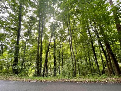 TRACT 1 & 2 Harbell Heights Rd, Pineville, KY, 40977