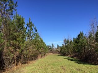 336 Wainwright Rd, Butler, GA 31006