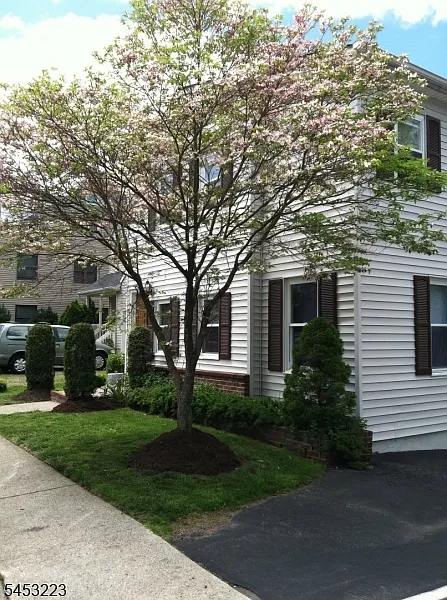 3 bed, 2.0 bath, $4,275 — Photo 2