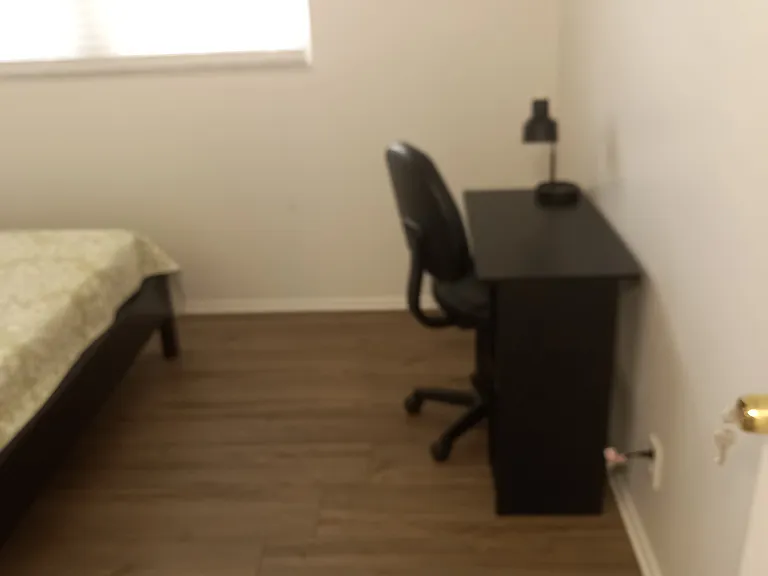 520 Palm Springs Blvd #108 — Photo 11