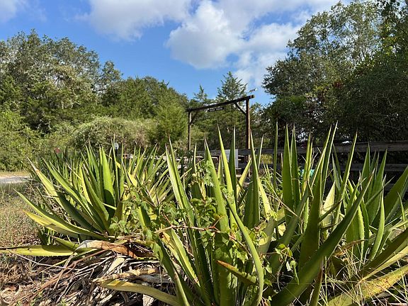 2nd image of 499 Hickory Creek Rd