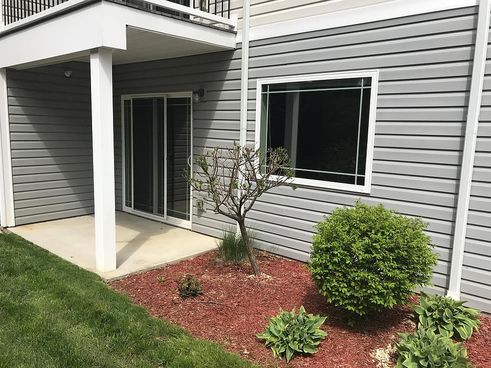 Rear concrete patio