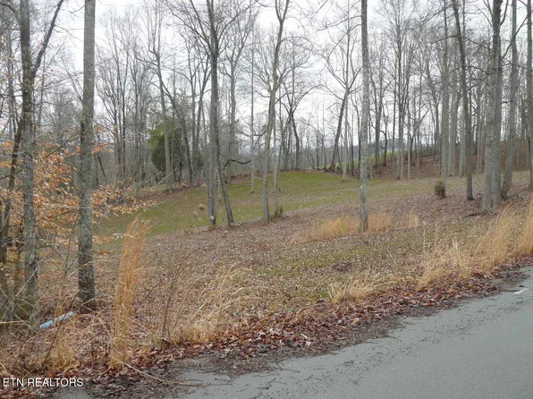 Parsons Ln, Tazewell, TN 37879