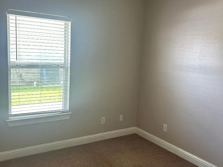 1278 Tropical Cv — Photo 4
