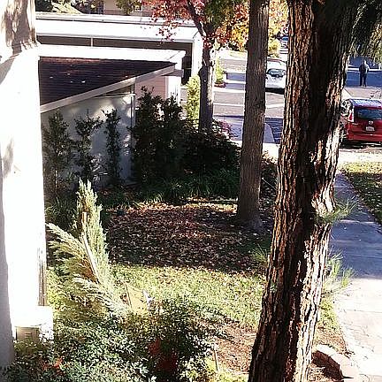 Double paned vinyl windows,views