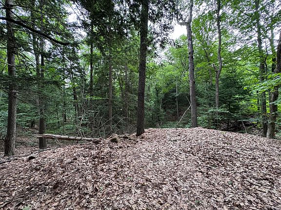 3rd image of Lot # 18-1 Sanborn Street