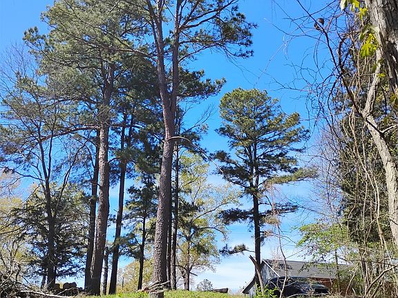 2nd image of 295 James Fannin Rd
