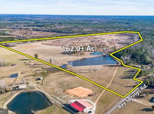 2128 Bay Springs Rd, Adrian, GA 31002