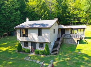 389 Ives Hill Rd, Afton, NY 13730