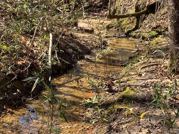 LOT-64A Shadow Creek Dr, Camden, AL 36726