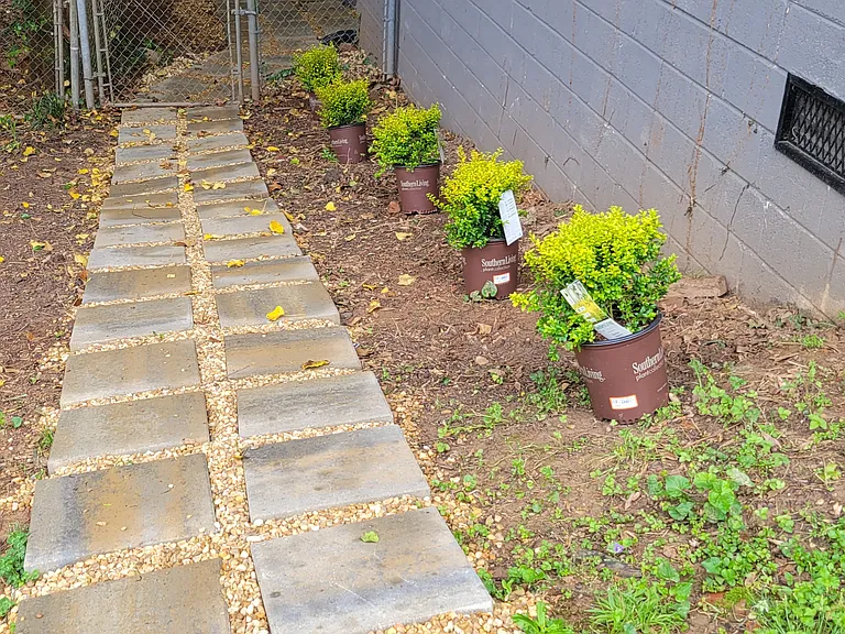 Ridgecrest Ln — Photo 2