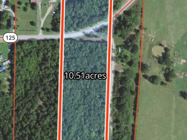 001-09850-000 N State Highway 125, Peel, AR 72668