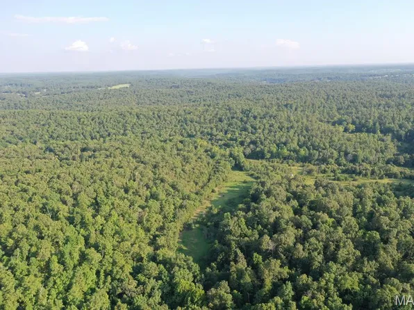 Wirth Rd, Ravenden, AR 72459
