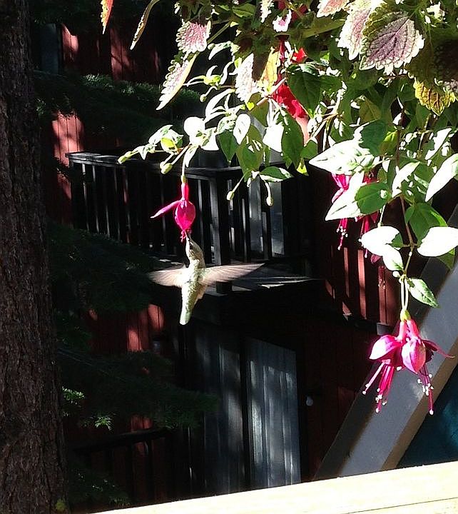 1st image of 6420 Emerald Cir