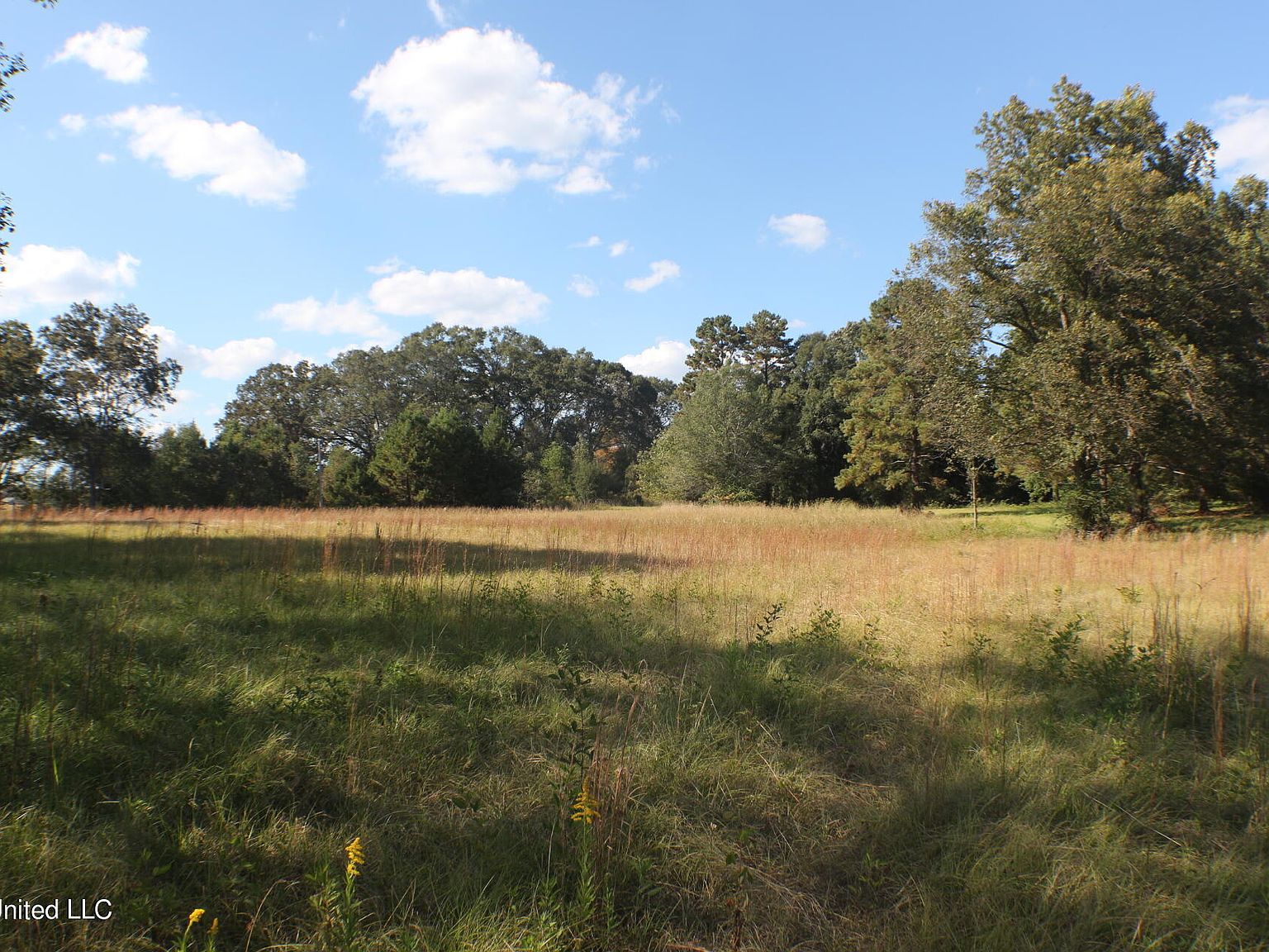 0 Lebanon Pinegrove Rd, Terry, MS 39170 Zillow