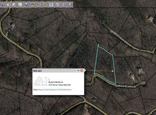 Black Bear Ln, Jasper, GA 30143