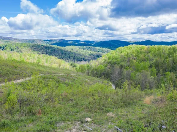 33 Rodmer Section 1, Terra Alta, WV 26764