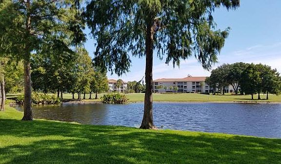 Grounds