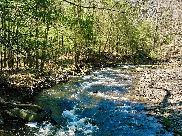 Upper Cherrytown Rd — Photo 10