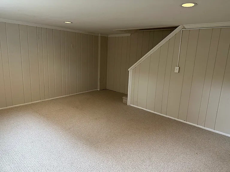 Basement/Flexible Bedroom