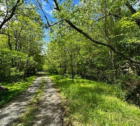 3rd image of Little Big Horn Ln