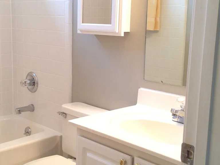 Medicine chest adds storage space for all your personal items and adds storage a toddler could not easily reach. Large under sink storage. Linen closet immediately outside bathroom in hall for towels, etc.