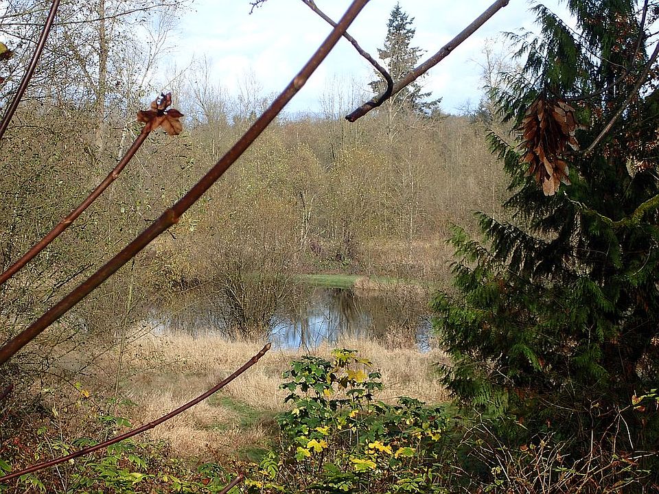 view from potential homesite
