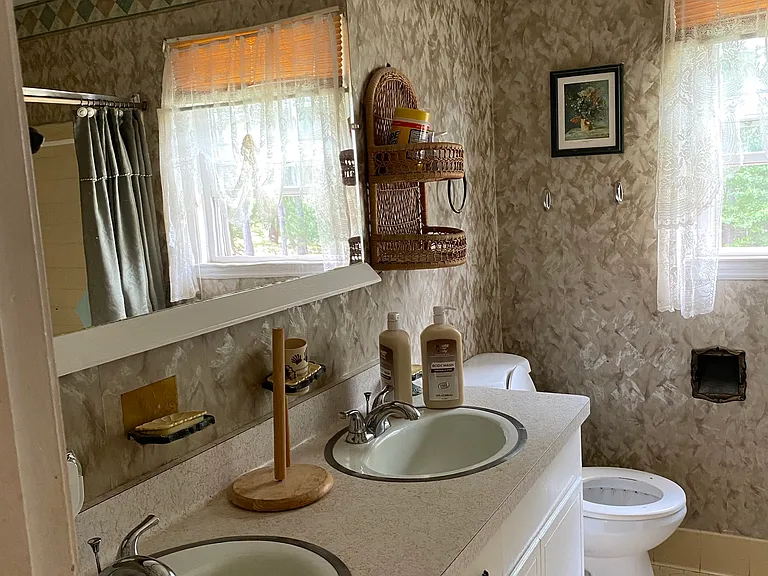 Hall bathroom sinks