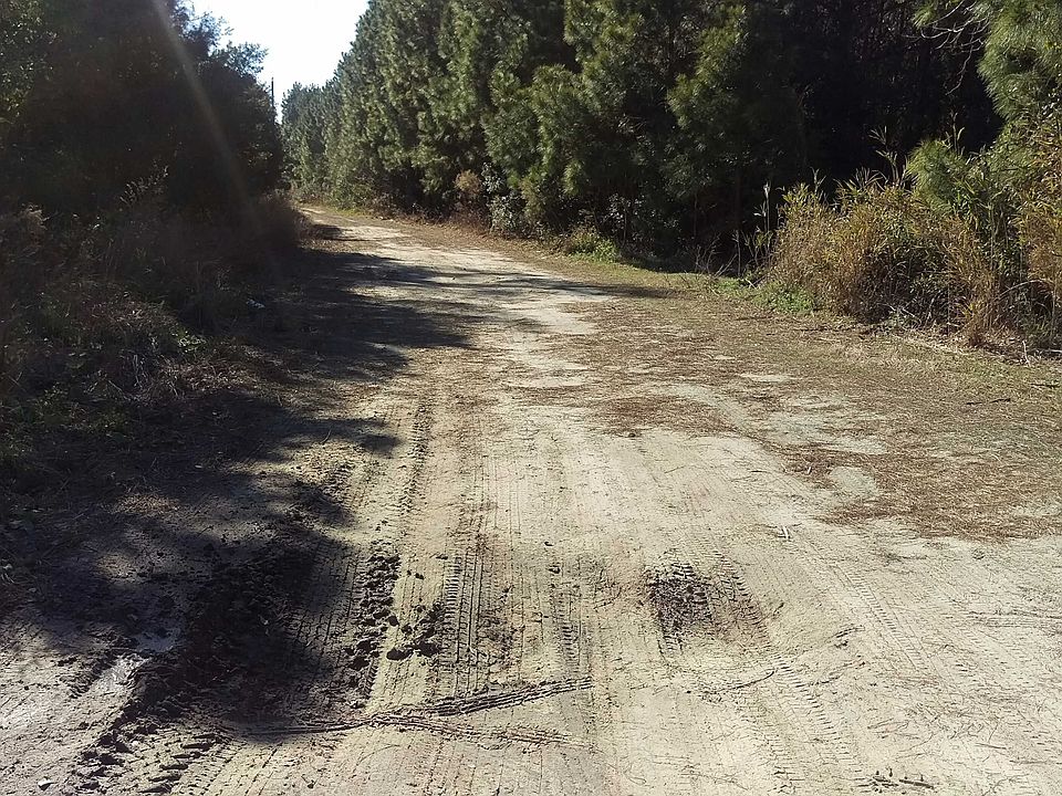 2nd image of 181 Red Dog Ln