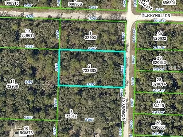 Norway St, Webster, FL 33597