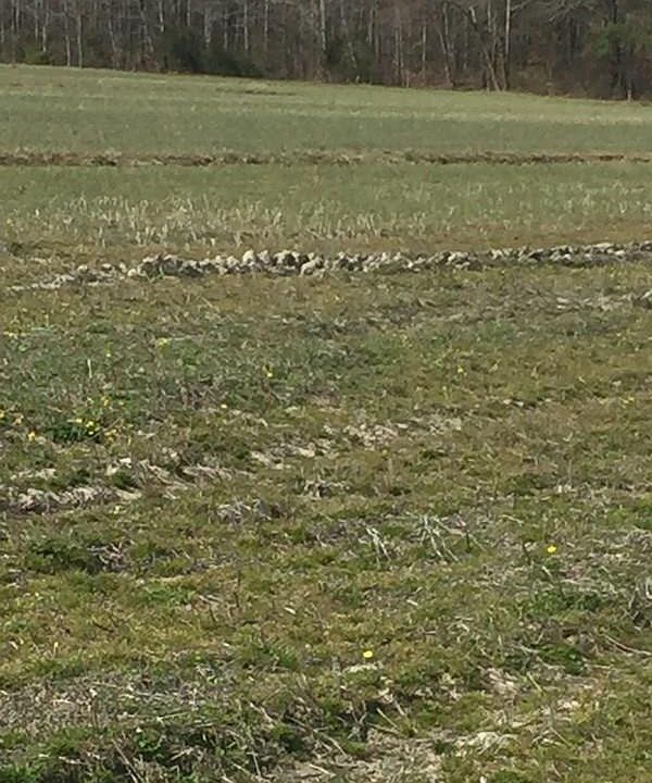 2nd image of TBD Tulls Creek Road LOT 5