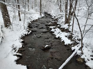 915 Blenheim Hill Rd #14, Jefferson, NY 12093