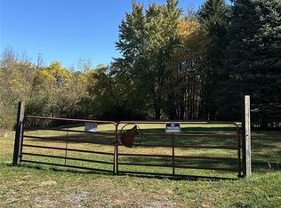 1161 Seven Mile Rd, Whitmore Lake, MI 48189