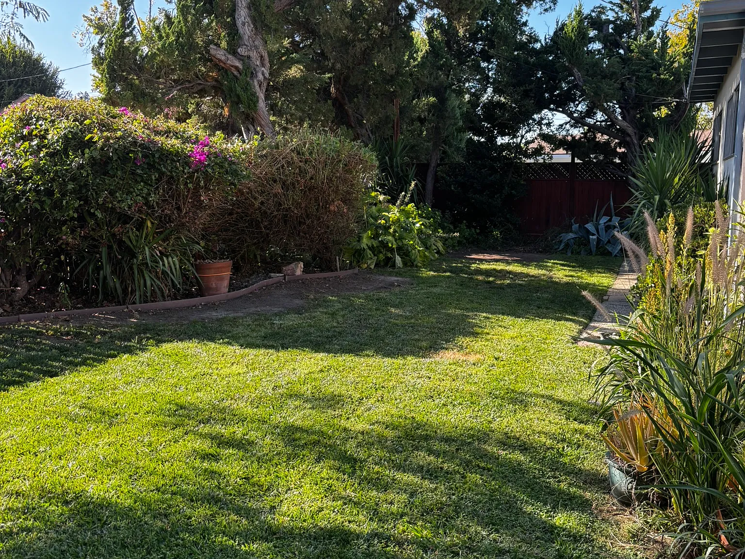 4 bed, 1777 sqft, $4,000 — Photo 3