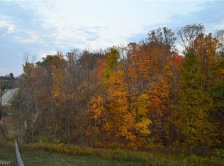 Sharon Copley Rd, Medina, OH 44256