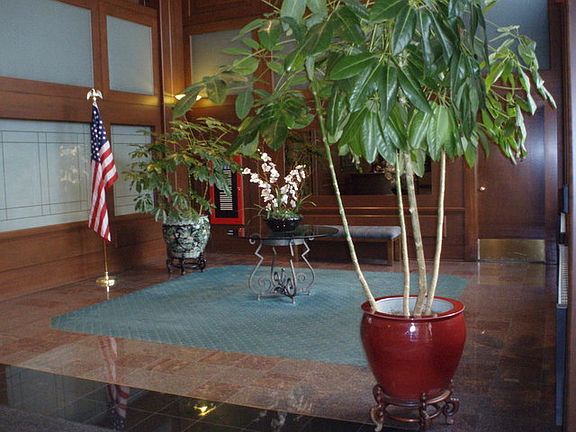 2nd image of 4545 W Touhy Ave APT 517
