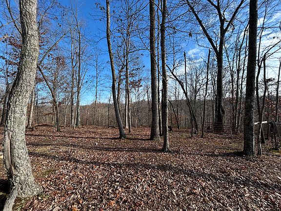 4th image of 7205 White Oak Rd