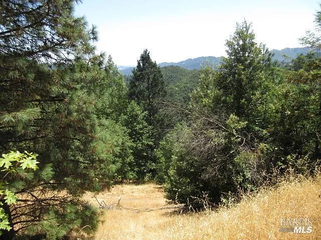 23480 Fort Ross Road - Photo 3