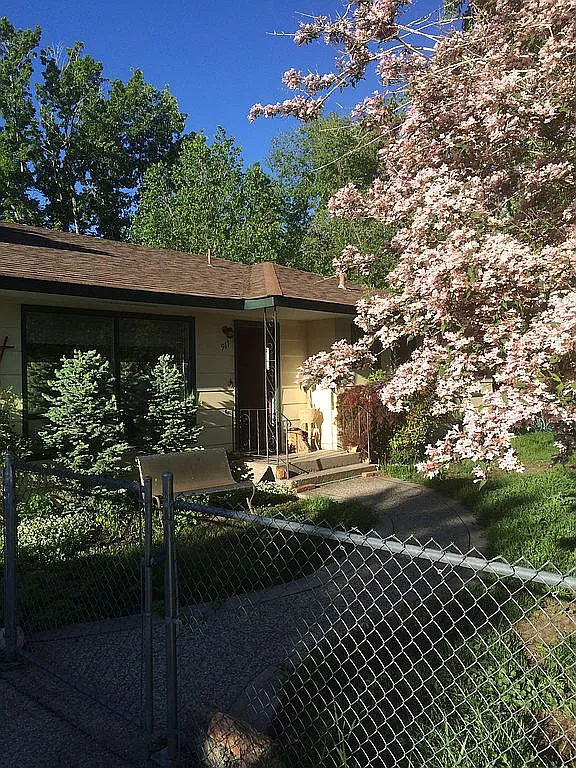 911 Lynne Ave photo 1